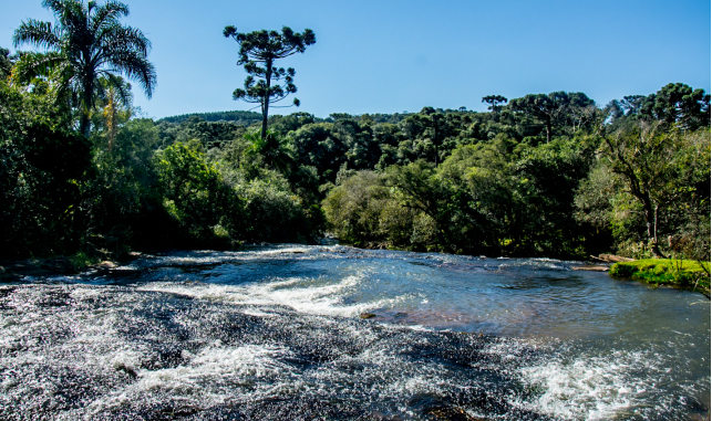 Rio Chopim – Parques Ambientais do Município de Clevelândia