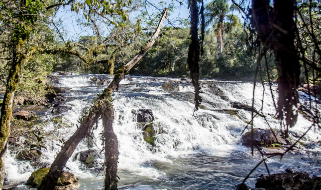 Rio Chopim - Parques Ambientais do Município de Clevelândia